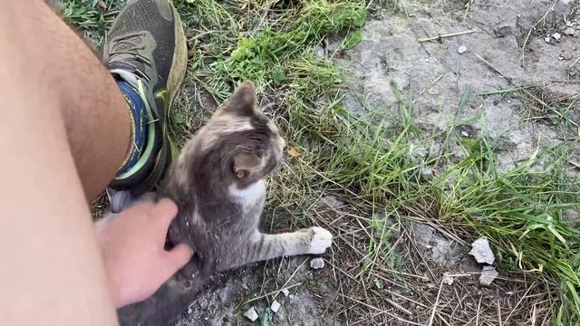 Днепр🔥Взрывы🔥Взрывы Харьков🔥Есть Погибшие🔥Взрывы Одесса🔥Новые Жертвы🔥Днепр сейчас 1 мая 2024 г. смотреть онлайн