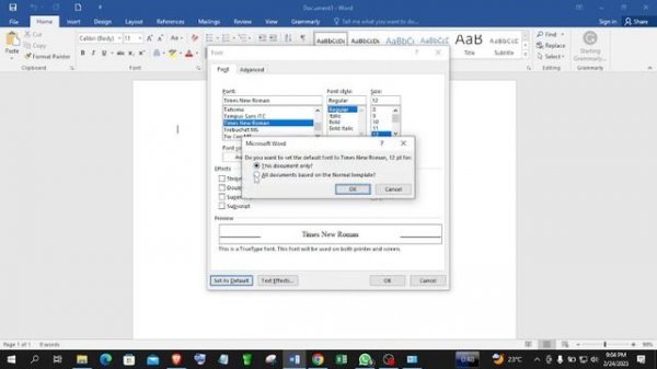 How to set TIMES NEW ROMAN, font size 12 on microsoft office word as default