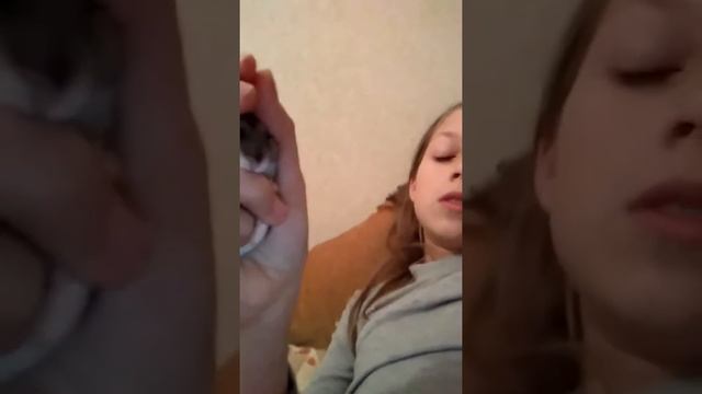 Мой хомяк купается смотреть онлайн