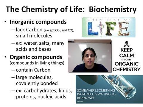 Biochem & Carbohydrates (Unit 1 - Video 5A) смотреть онлайн