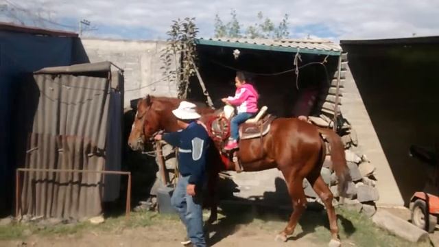 CARMINA Y EL ALDEBARÁN DE TULYEHUALCO смотреть онлайн