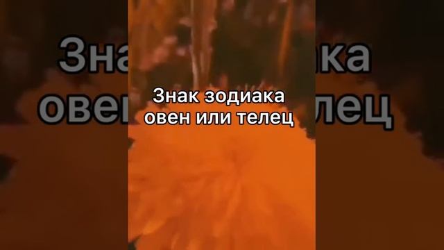 🐸 Пой эту песню если ты 💕 смотреть онлайн