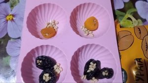 Домашние конфеты с кедровыми орешками, курагой и черносливом. В молочном шоколаде👌❤️🥰