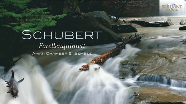 Schubert Quintet for piano, violin, viola, cello & double-bass in A Major, D. 667, “The Trout”: смотреть онлайн