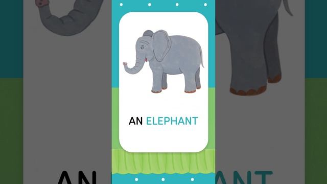 Mes premiers mots d'anglais - Les animaux de la savane #enfants #apprendre #anglais #animaux смотреть онлайн