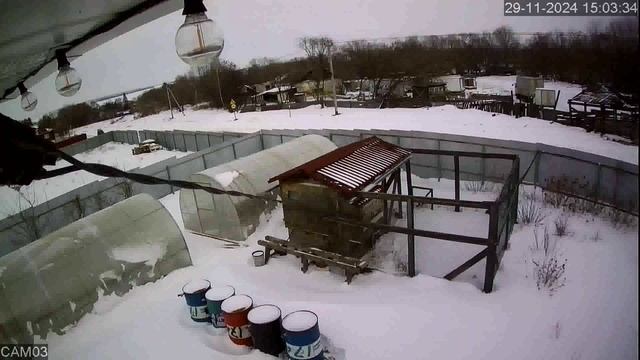 20241129_1 смотреть онлайн