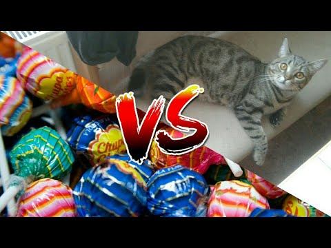 Мини шоу Сем vs чупачупс. /Сема TV смотреть онлайн