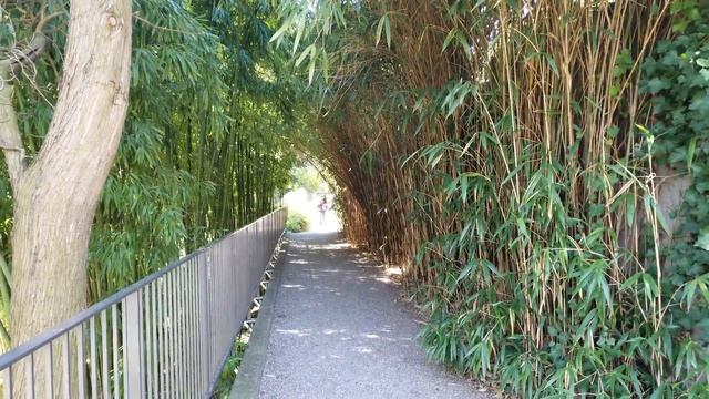 Zürih | isviçre | zurich | switzerland |16| Eski botanik bahçesi | Alter Botanischer Garten смотреть онлайн