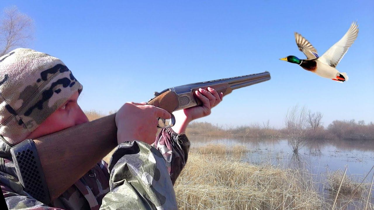 ОХОТА НА УТКУ СЕЛЕЗНЯ ВЕСНОЙ из скрадка с чучелами! Пришёл в скрадок и добыл КРЯКАША.