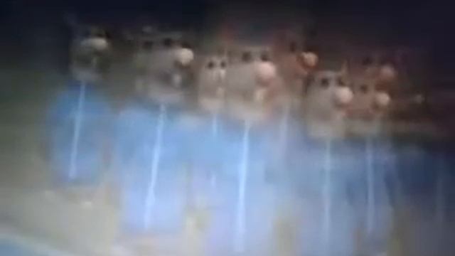 белка и Казбек ♥️ ну и чтож смотреть онлайн