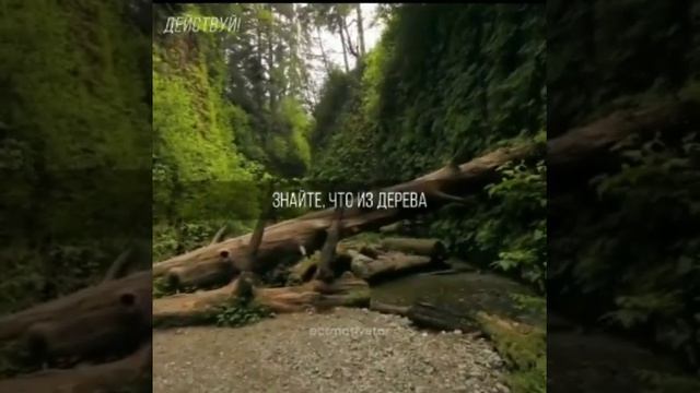 Мудрые мысли, умные слова! смотреть онлайн