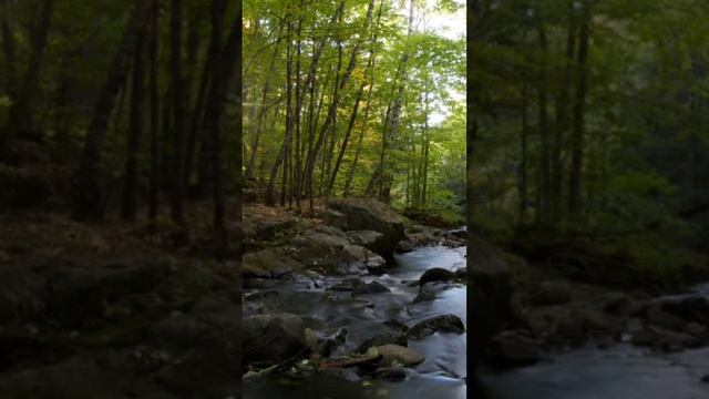 Water Pool #meditationmusic #attractpurecleanenergy #relaxingmusic