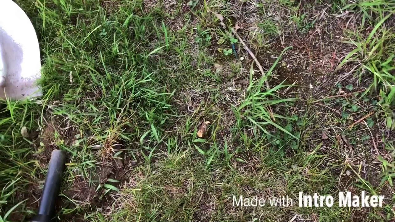 Minelab Vanquish 540