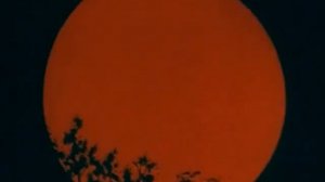 Structure and evolution of the Sun and stars