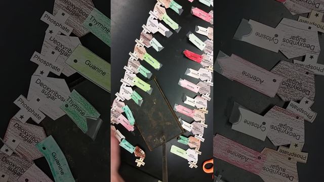 DNA Replication With The 