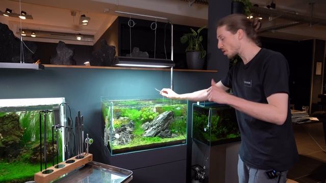 Probleme in der Einlaufphase! Pflanzen schmelzen und erster Rückschnitt! смотреть онлайн