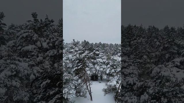Зимушка-зима смотреть онлайн