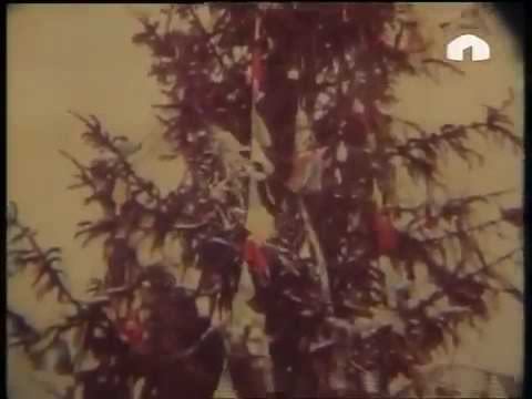 Гений моего народу.Памир Мургаб.