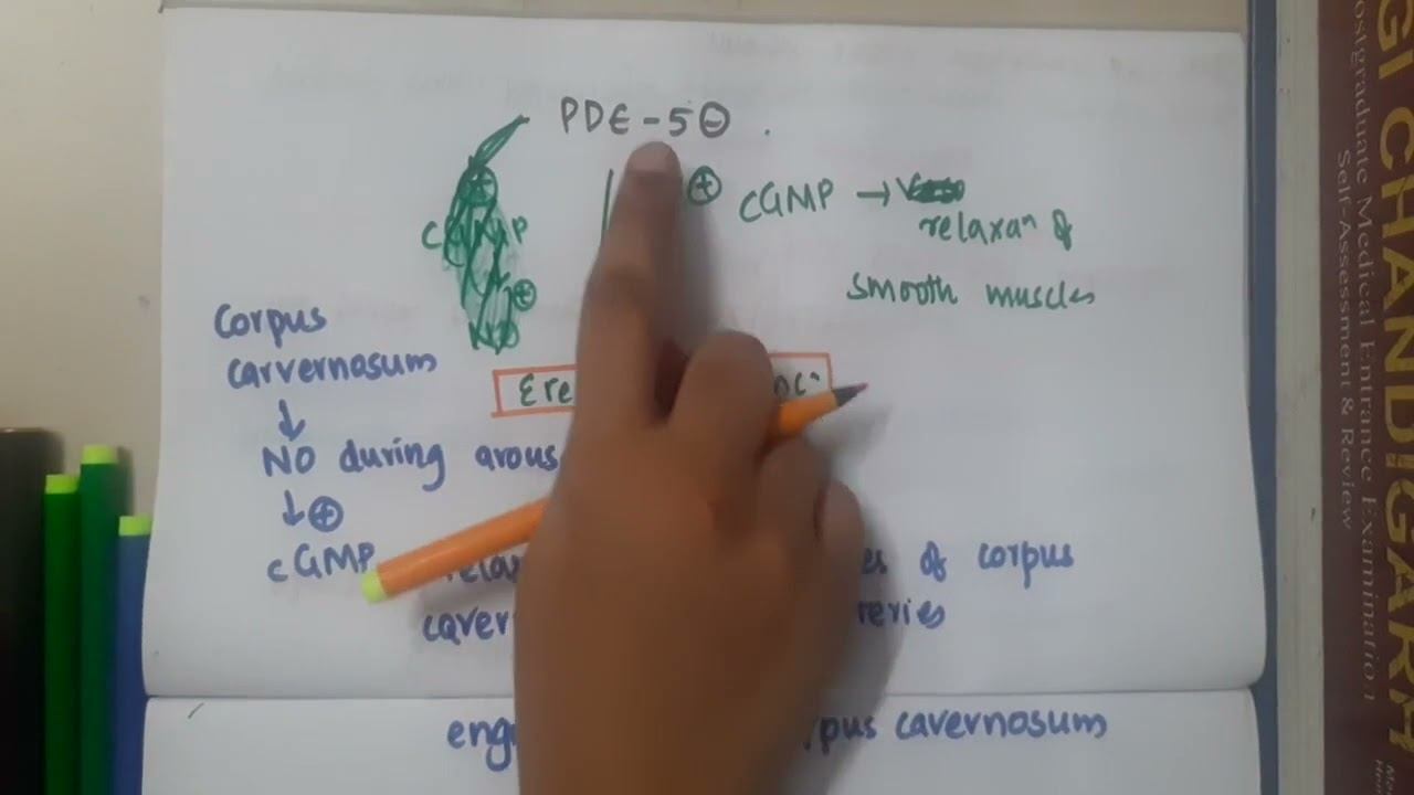 PDE 5 inhibitors || Pharmacology смотреть онлайн