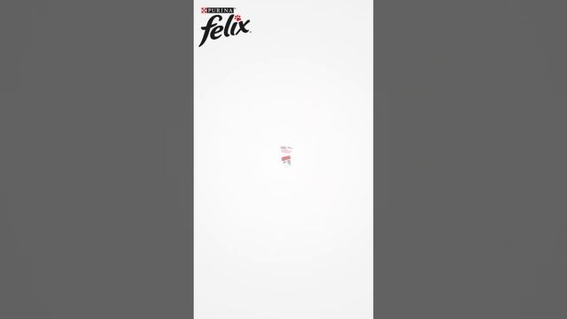 felix_purina смотреть онлайн