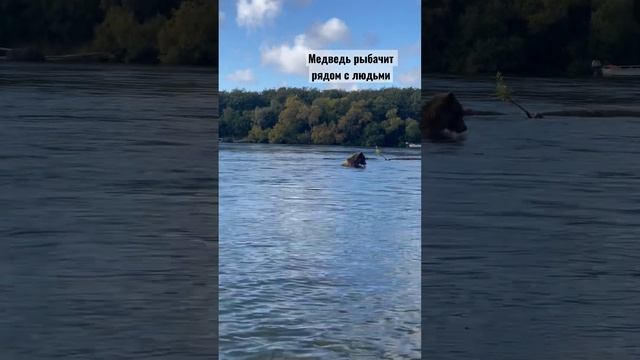 Не чего не обычного , просто рыбалка на Камчатке ! смотреть онлайн