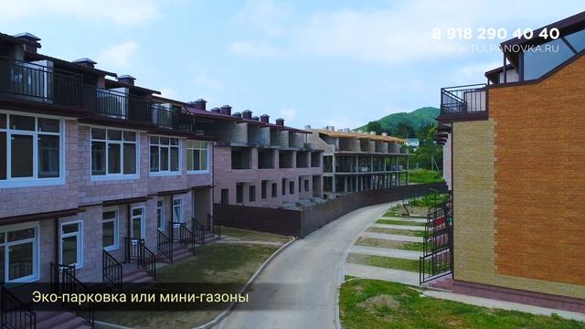 Тюльпановка август 2018 смотреть онлайн