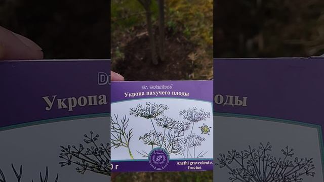 Дачные советы.В деревне под Минском.13.04.24 г. смотреть онлайн