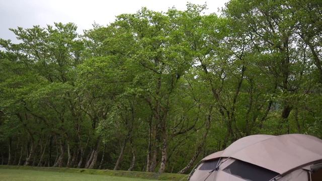 【夫婦キャンプ】スノーピーク新作テント「 ゼイズ Pro.」初張り設営動画/camping смотреть онлайн