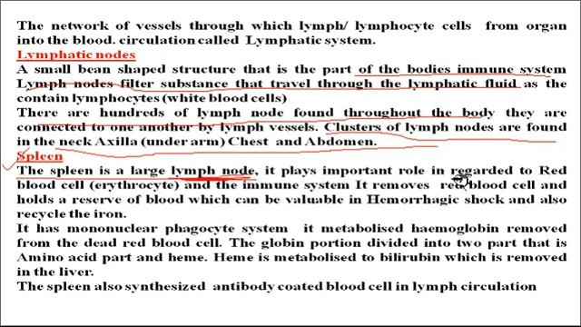 Lymphoid Organ And T And B Cell Maturation