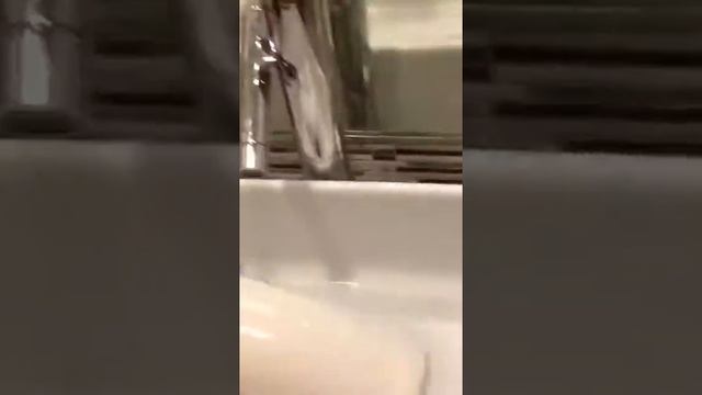 Toto Portable Washlet смотреть онлайн