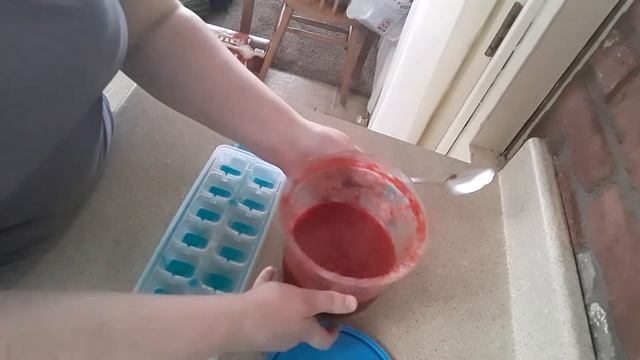 Fresh & Pure Ice Trays