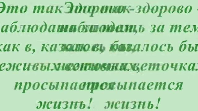 Кирилл К. Опыт по "Окружающему миру".wmv смотреть онлайн