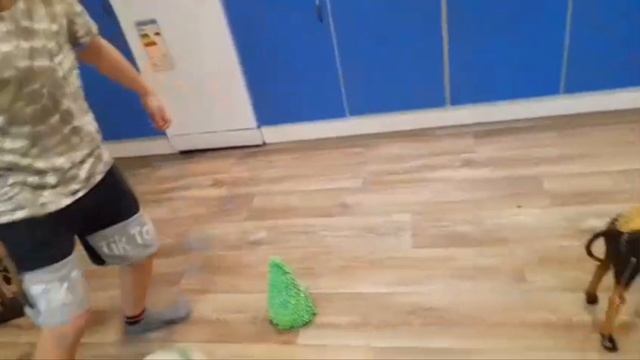 #футболвшколе