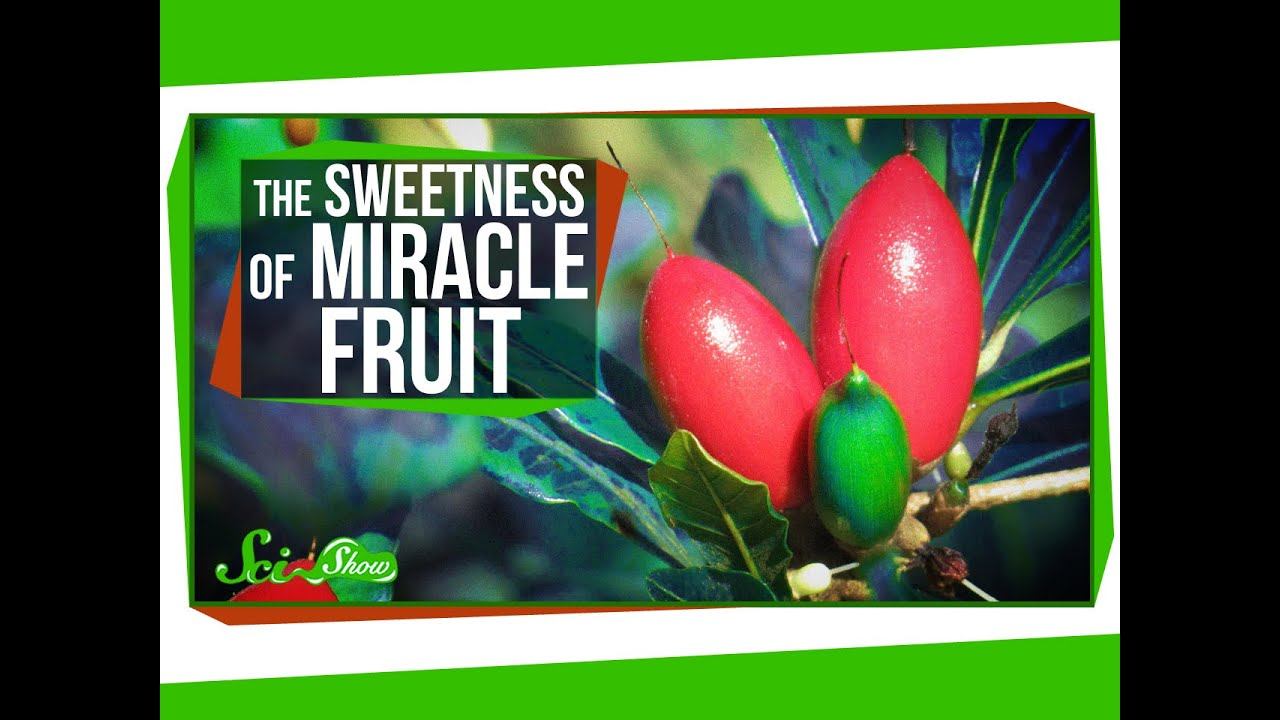 Miracle Fruit: How to Trick Your Taste Buds смотреть онлайн