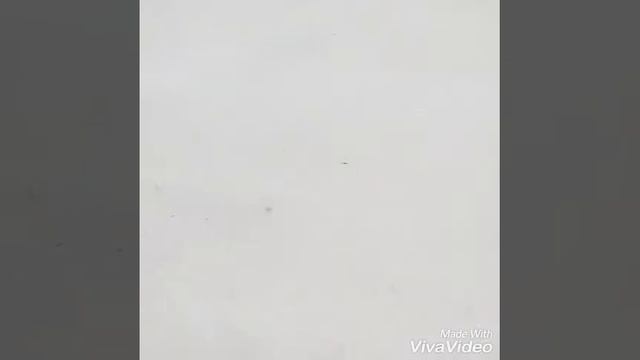 Неудачный “Бутылка воды„ челендж.