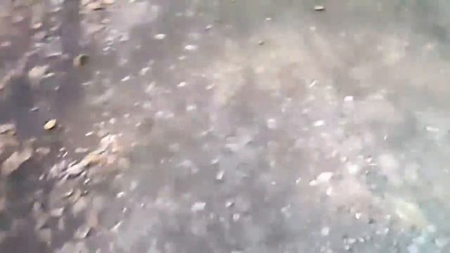 Какие видео я буду снимать ближе к осени. Типы школьников. смотреть онлайн