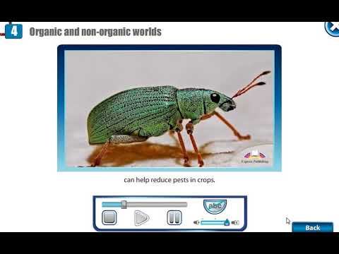 Action 10 Module 4 Organic And Non Organic Worlds