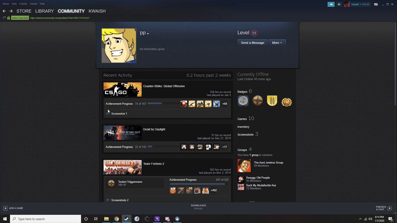 NEW STEAM TRADE SCAM?? IM LOST... (Steam API Scam)