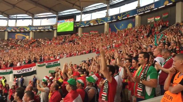 Бельгия Венгрия. Евро 2016. Тулуза. Болельщики Венгрии. смотреть онлайн