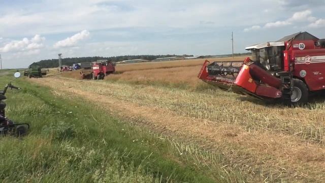 Мощный тандем: уборка озимой пшеницы и рапса с GOMSELMASH GS12A1 PRO, PALESSE GS12 и John Deere 964