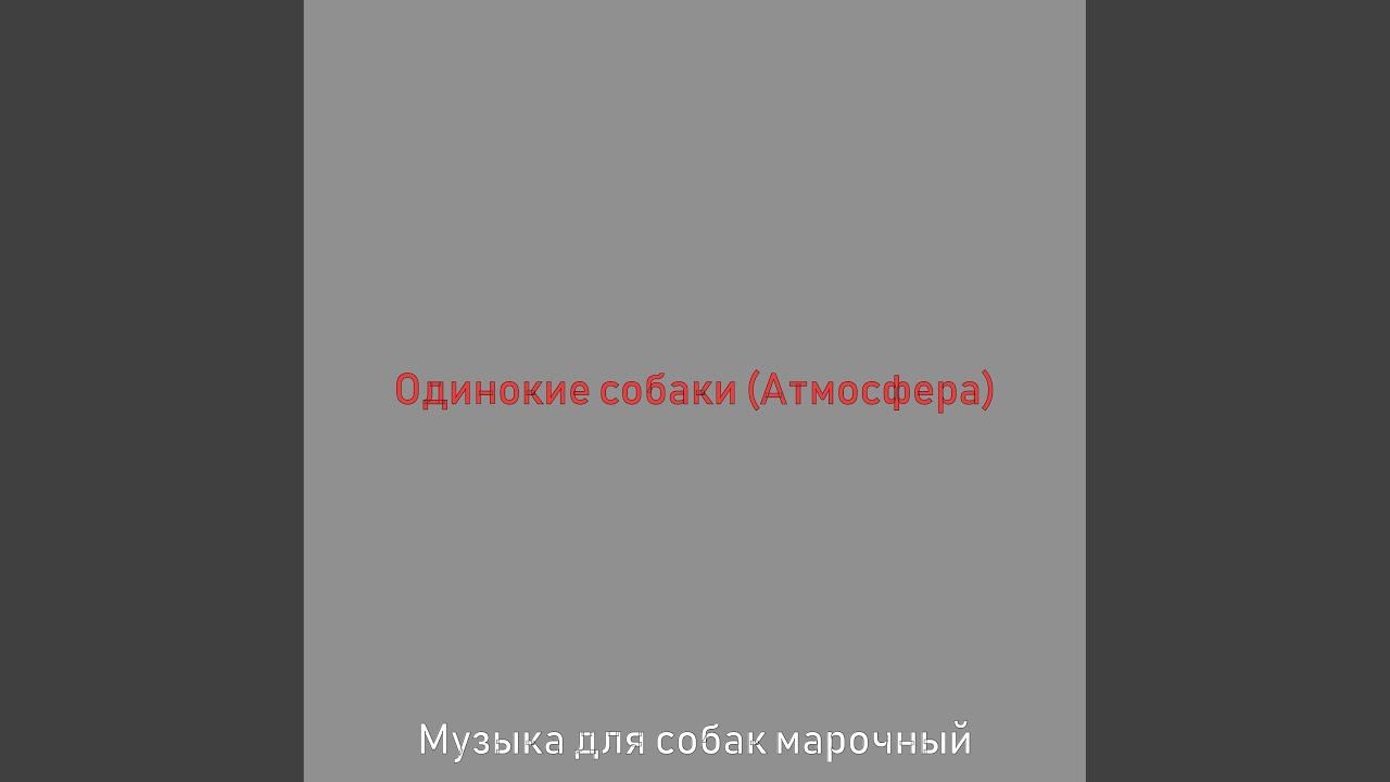 Видения (Щенки) смотреть онлайн