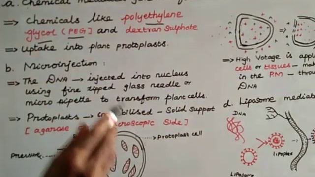 Micro injection, Electroporation, chemical method смотреть онлайн