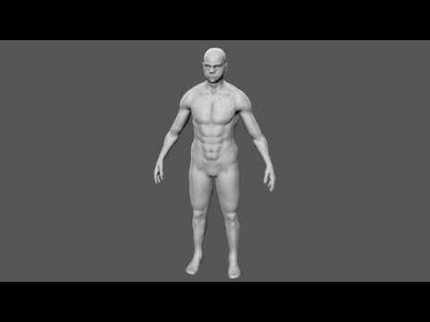 Human Anatomy Reference смотреть онлайн