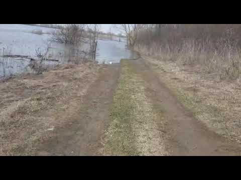 Уровень воды в районе Шатрище 2 смотреть онлайн