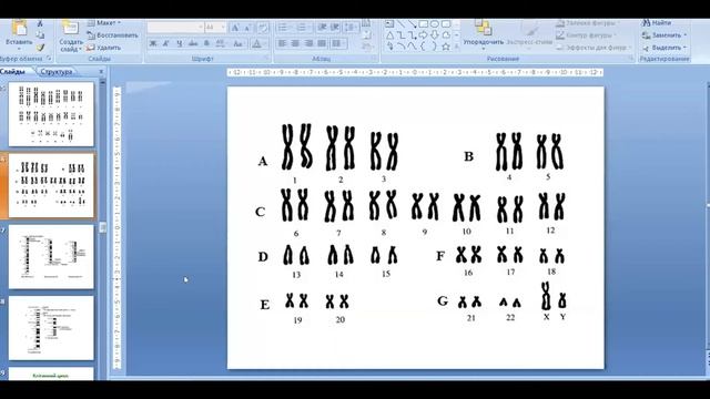 Комплексний вебінар з біології смотреть онлайн