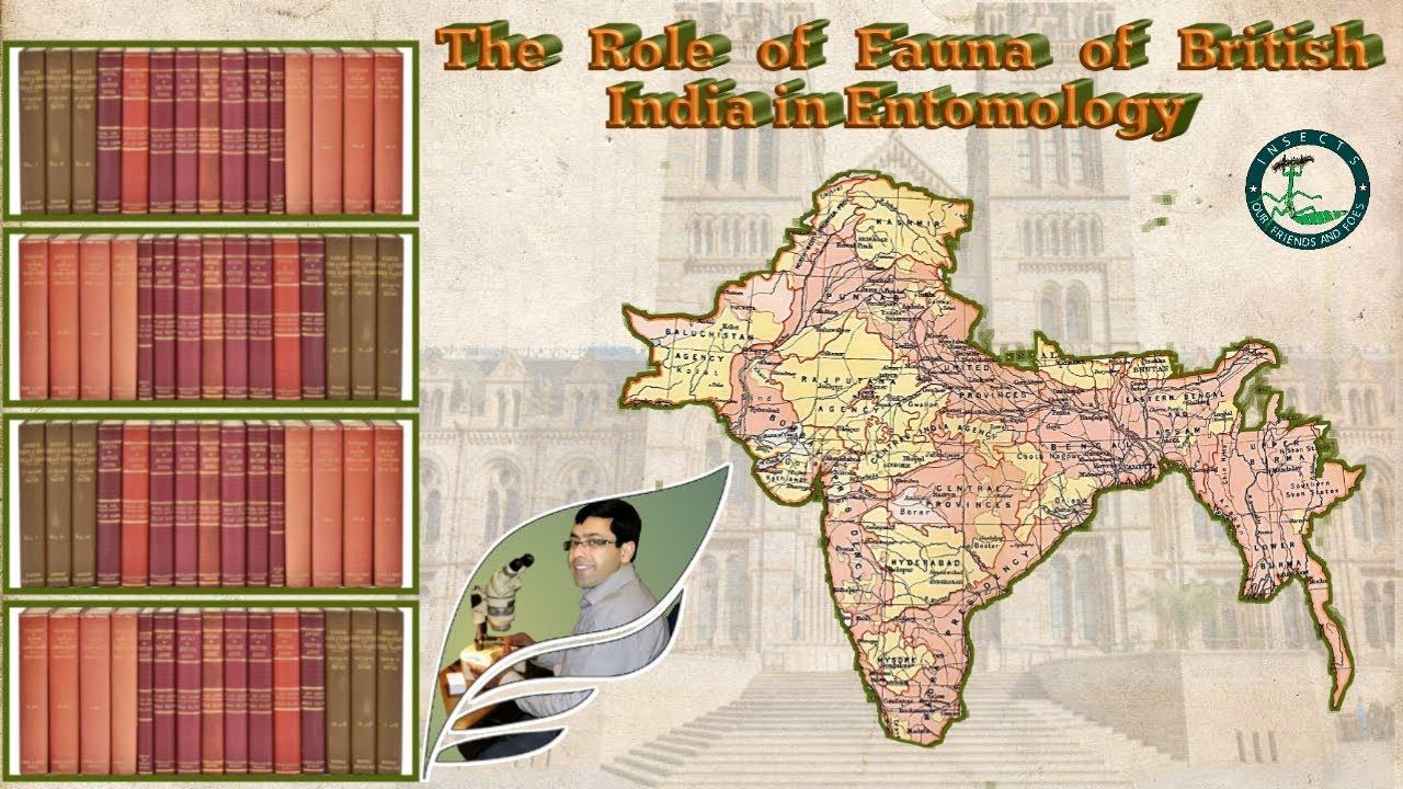 Fauna of British India and its role with Insect Fauna of Pakistan By Dr Imran Khatri смотреть онлайн