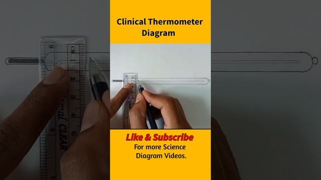Clinical Thermometer Diagram. #clinicalthermometer #thermometer #class7 смотреть онлайн