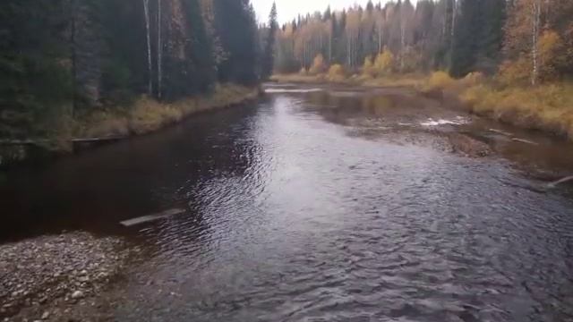 СЕЛЬМЕНЬГА смотреть онлайн