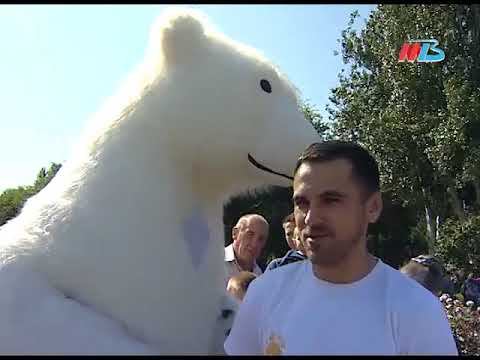 Мишка Пломбир смотреть онлайн