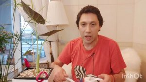 Алоказия  Регал Шилдс посадка на Фитиль